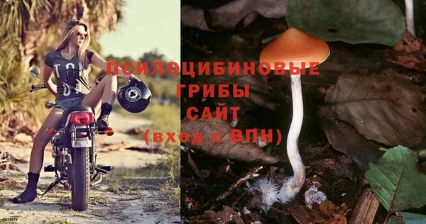 герыч Алексин