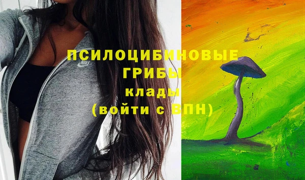 МДМА Арсеньев